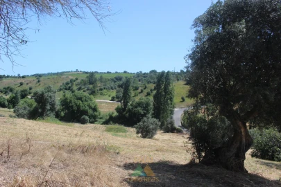 Quinta T20 para Venda em Torres Novas (Santa Maria, Salvador e Santiago)