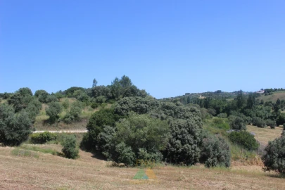 Quinta T20 para Venda em Torres Novas (Santa Maria, Salvador e Santiago)