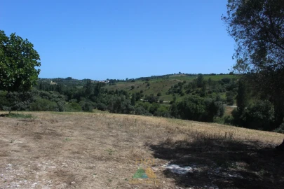 Quinta T20 para Venda em Torres Novas (Santa Maria, Salvador e Santiago)