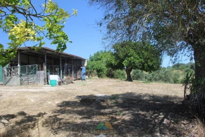 Quinta T20 para Venda em Torres Novas (Santa Maria, Salvador e Santiago)