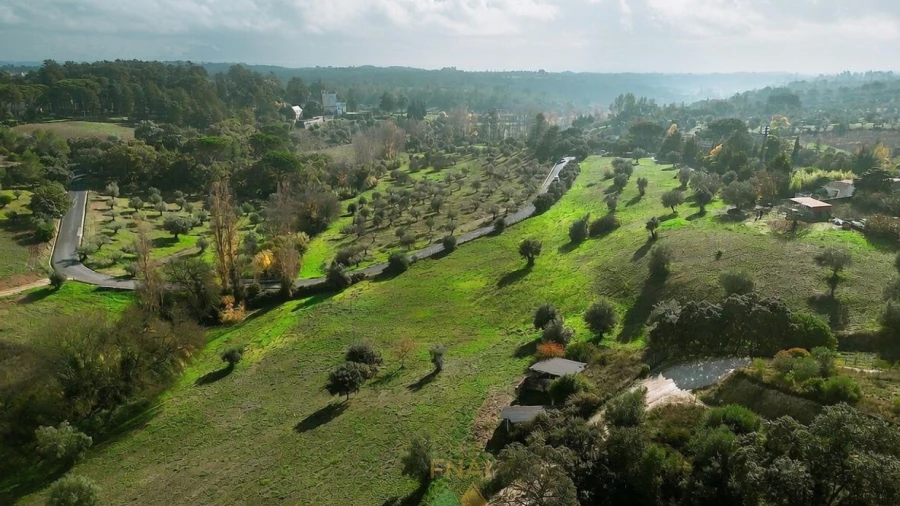 Quinta T20 para Venda em Torres Novas (Santa Maria, Salvador e Santiago)