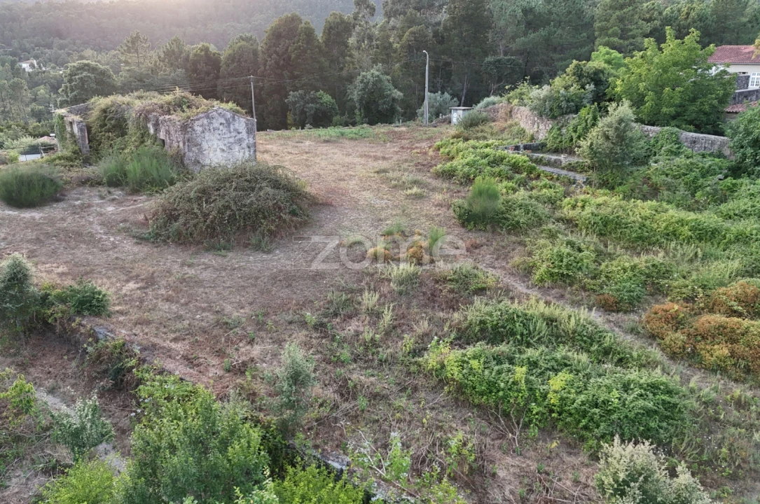 Moradia T3 para Venda em Cervães Foto 5