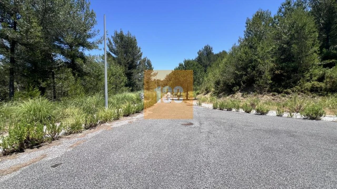 Terreno para Venda em Santa Maria e São Miguel, São Martinho, São Pedro Penaferrim Foto 9