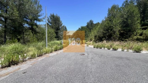 Terreno para Venda em Santa Maria e São Miguel, São Martinho, São Pedro Penaferrim