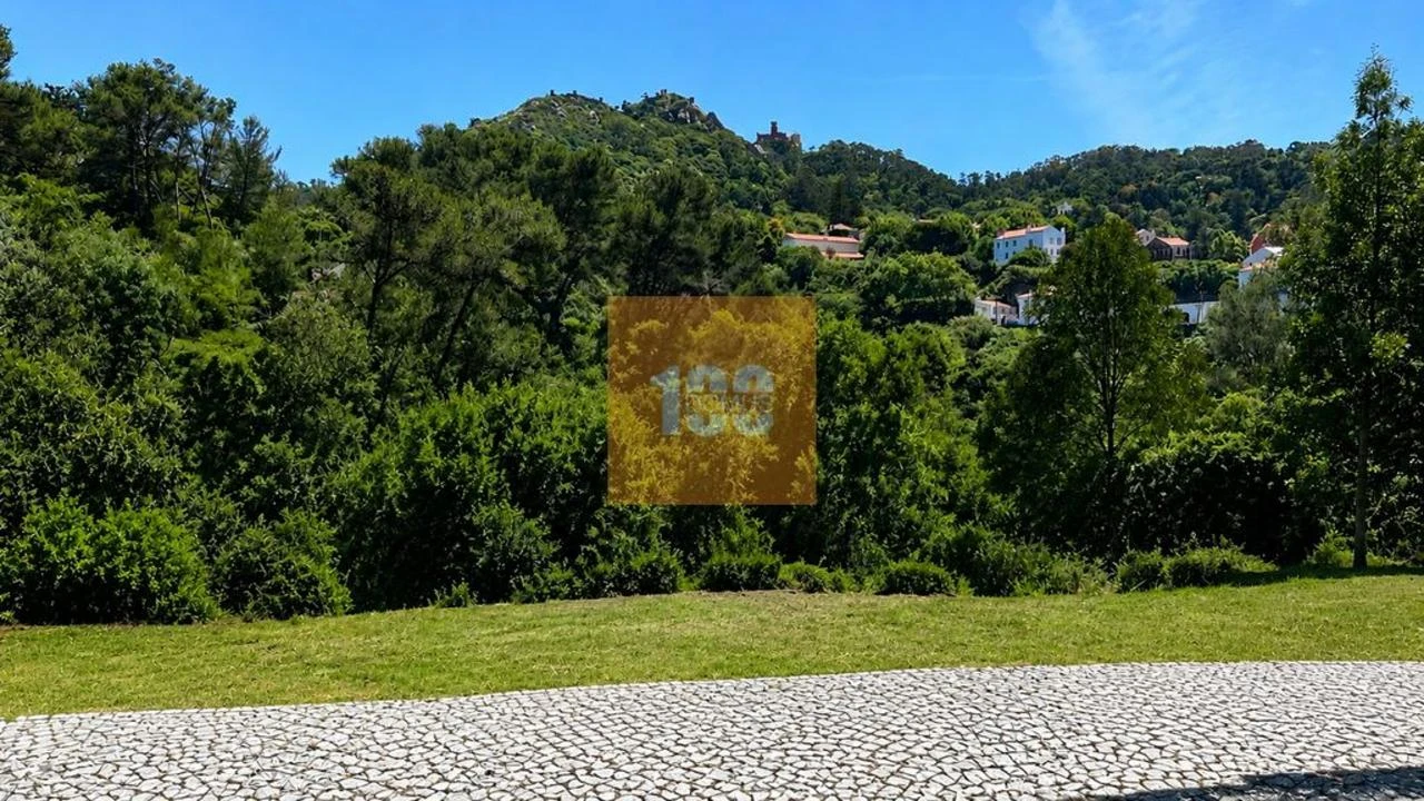 Terreno para Venda em Santa Maria e São Miguel, São Martinho, São Pedro Penaferrim Foto 4