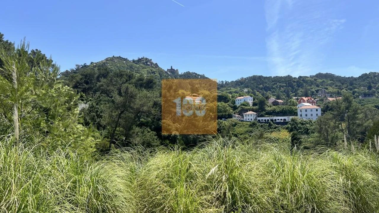 Terreno para Venda em Santa Maria e São Miguel, São Martinho, São Pedro Penaferrim Foto 16