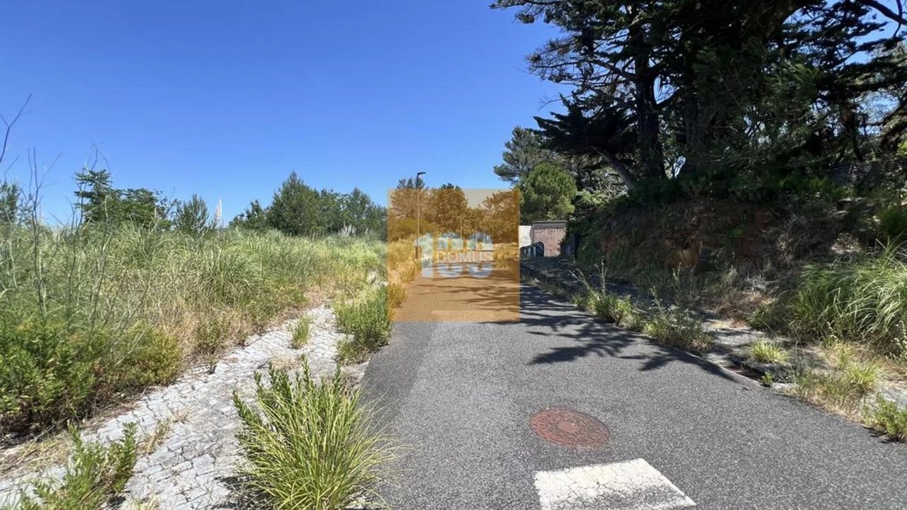 Terreno para Venda em Santa Maria e São Miguel, São Martinho, São Pedro Penaferrim Foto 14