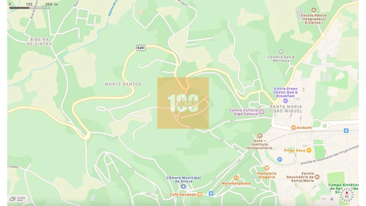 Terreno para Venda em Santa Maria e São Miguel, São Martinho, São Pedro Penaferrim Foto 18