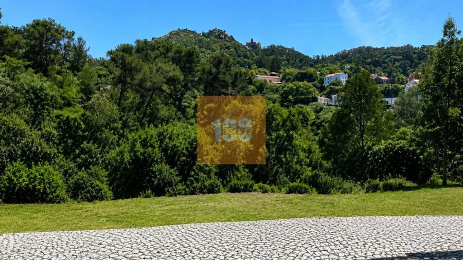 Terreno para Venda em Santa Maria e São Miguel, São Martinho, São Pedro Penaferrim