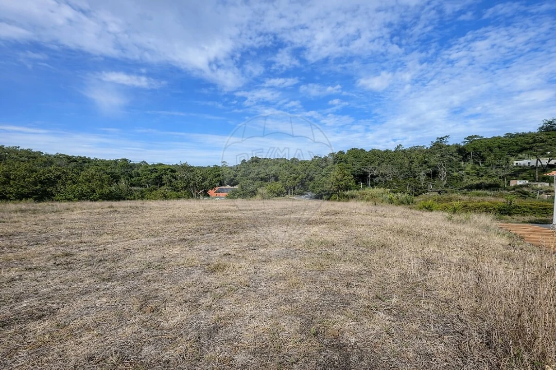 Terreno para Venda em Santa Maria e São Miguel, São Martinho, São Pedro Penaferrim Foto 8