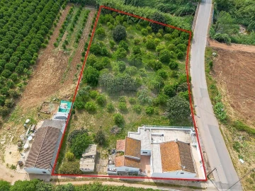 Quinta T3 para Venda em Silves