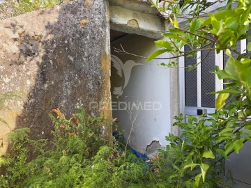 Moradia T4 para Venda em Chãos