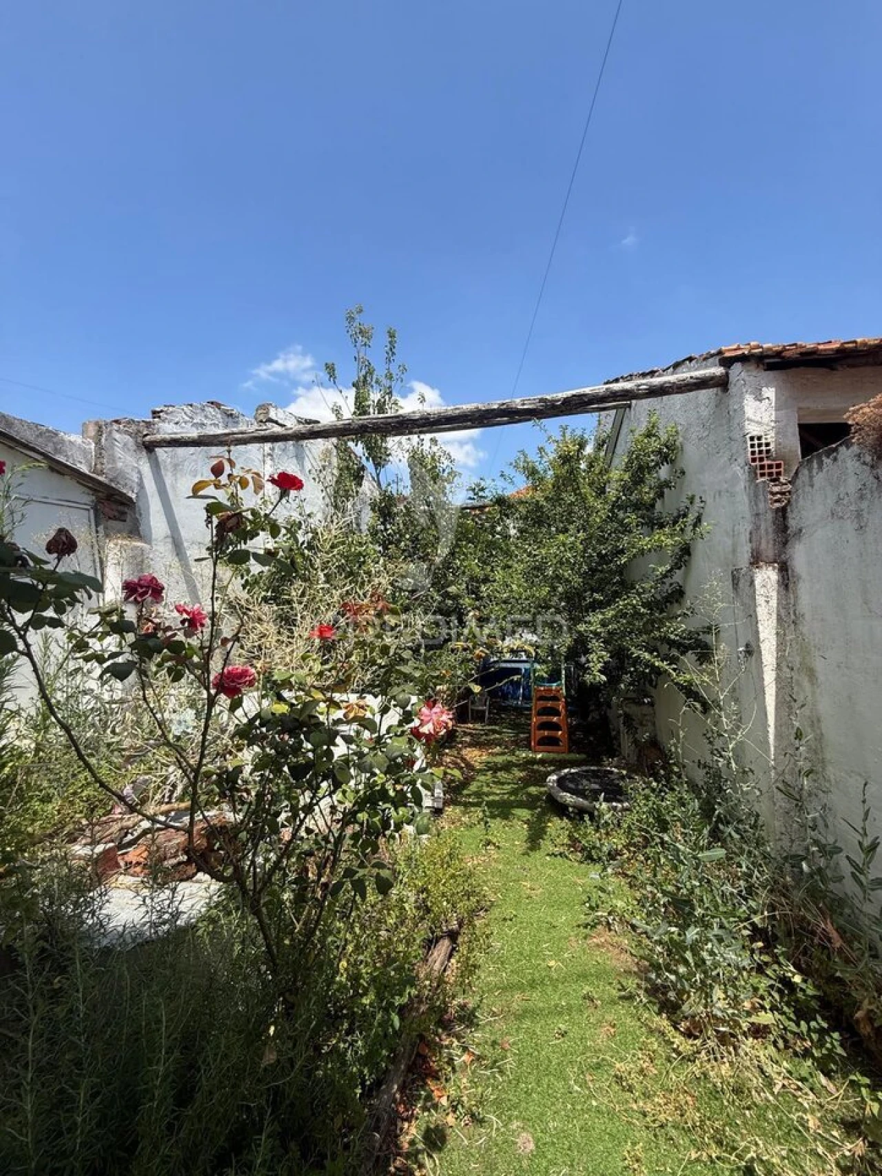 Moradia T2 para Venda em Malhou, Louriceira e Espinheiro Foto 23