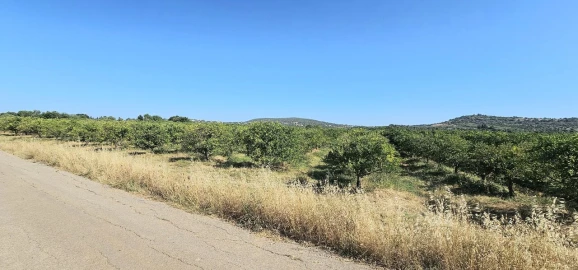 Terreno para Venda em São Bartolomeu de Messines