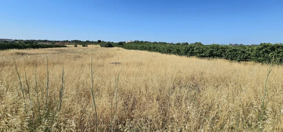 Terreno para Venda em São Bartolomeu de Messines