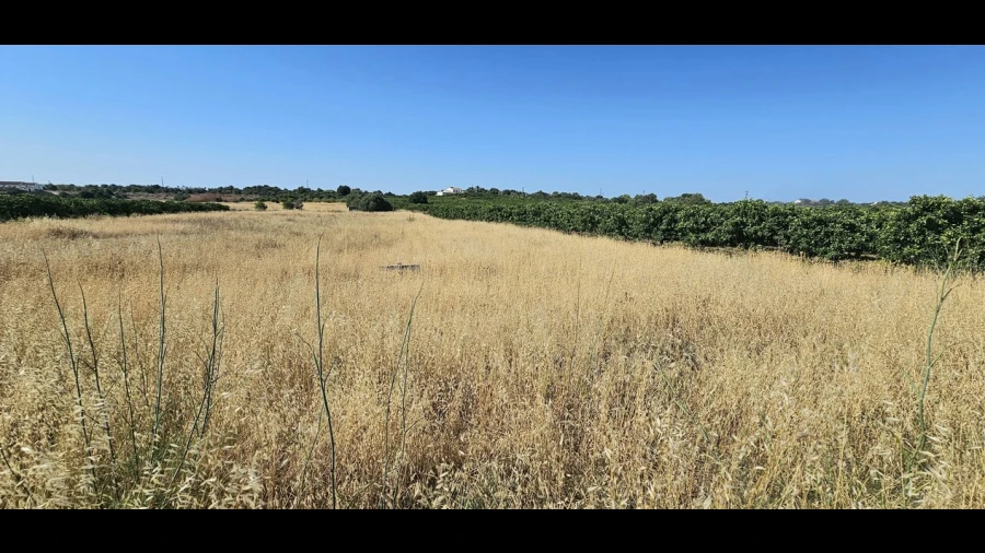 Terreno para Venda em São Bartolomeu de Messines