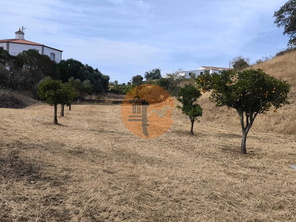 Terreno para Venda em Azinhal Foto 3