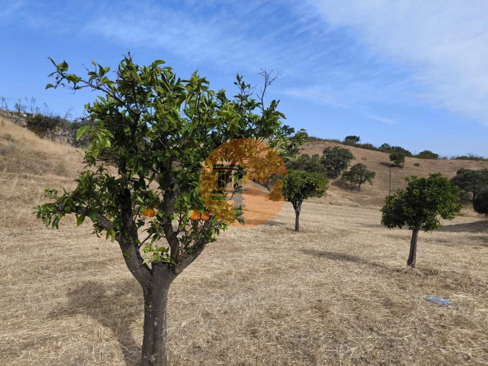 Terreno para Venda em Azinhal Foto 50