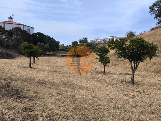 Terreno para Venda em Azinhal Foto 3
