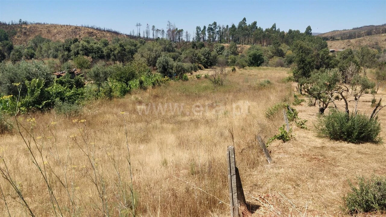 Terreno para Venda em Barco e Coutada Foto 2