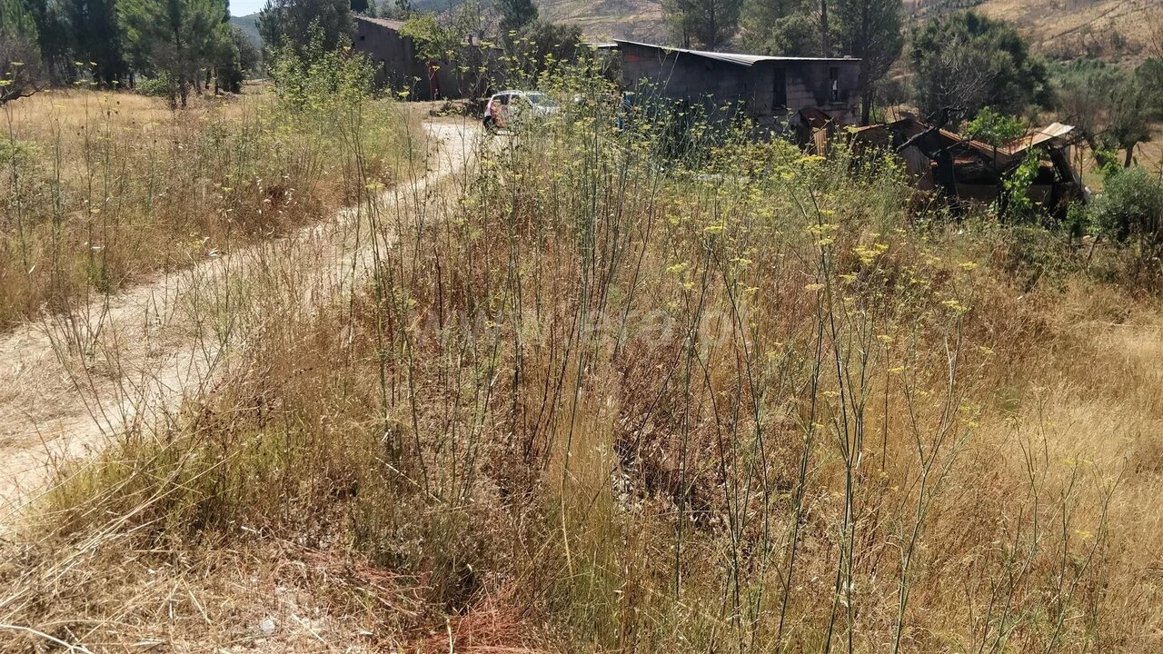 Terreno para Venda em Barco e Coutada Foto 3