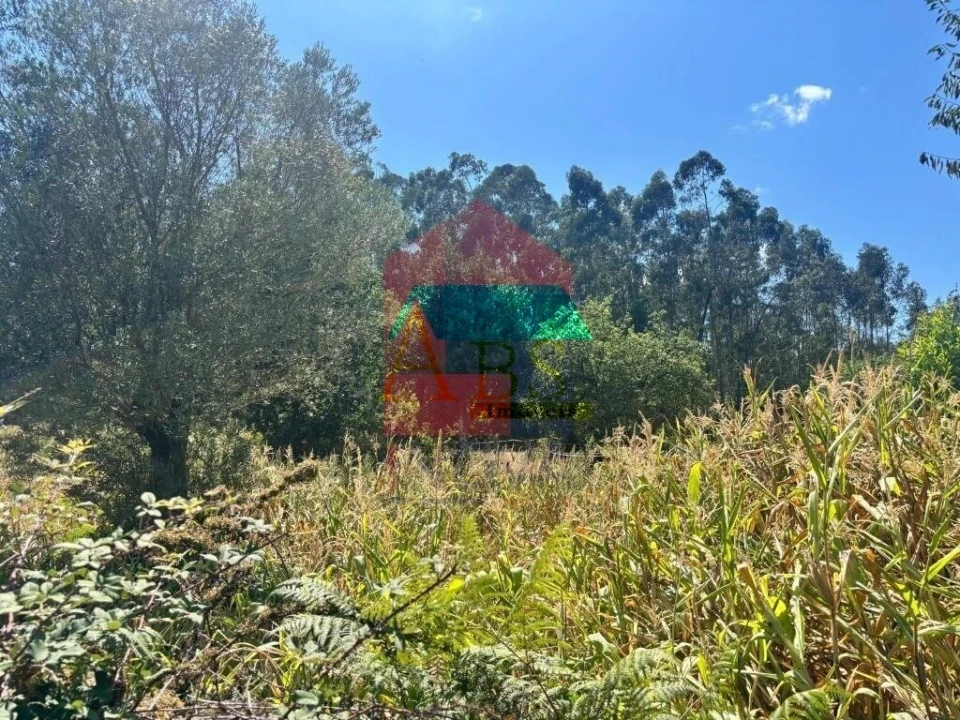 Terreno para Venda em Ribeira do Neiva Foto 3