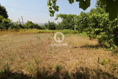 Terreno Agricola ou Rústico para Venda em Agrela e Serafão