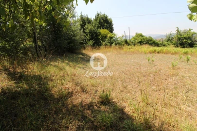 Terreno Agricola ou Rústico para Venda em Agrela e Serafão