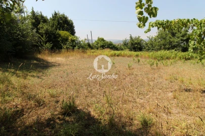 Terreno Agricola ou Rústico para Venda em Agrela e Serafão
