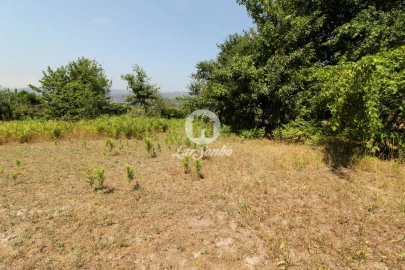 Terreno Agricola ou Rústico para Venda em Agrela e Serafão