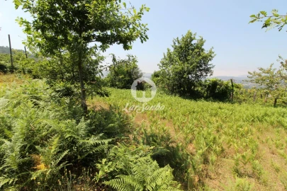 Terreno Agricola ou Rústico para Venda em Agrela e Serafão