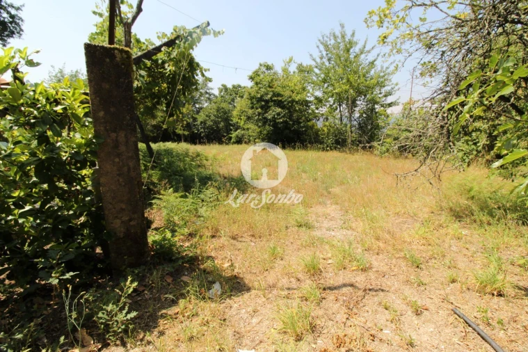 Terreno Agricola ou Rústico para Venda em Agrela e Serafão Foto 2