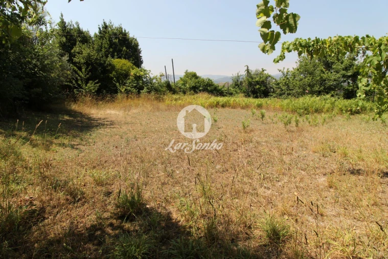 Terreno Agricola ou Rústico para Venda em Agrela e Serafão Foto 5