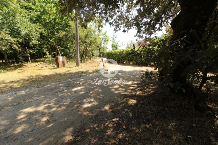 Terreno Agricola ou Rústico para Venda em Agrela e Serafão Foto 9