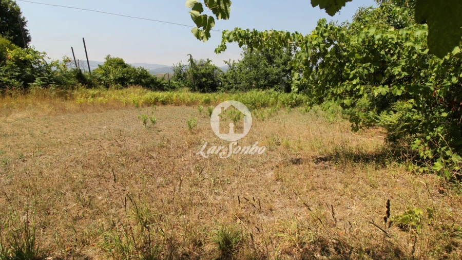 Terreno Agricola ou Rústico para Venda em Agrela e Serafão