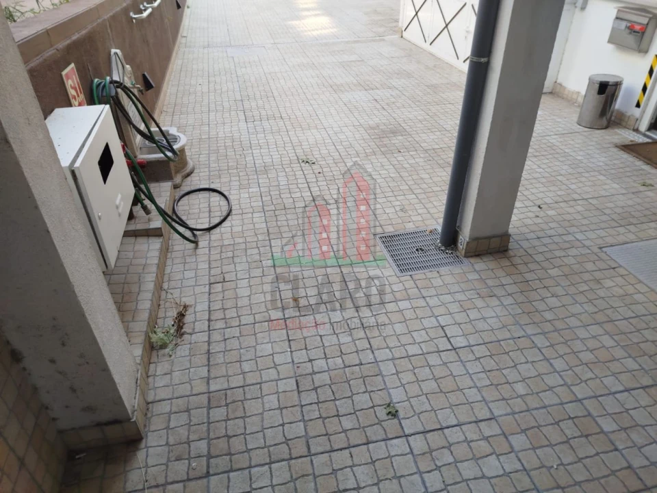 Apartamento T3 para Arrendamento em Santo Antonio dos Olivais Foto 19