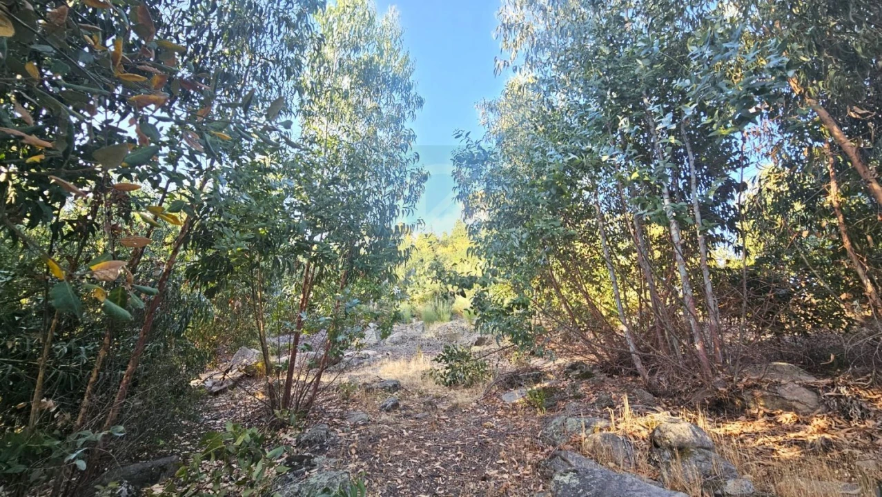 Terreno para Venda em Alcains Foto 2