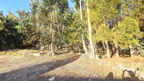Terreno para Venda em Alcains
