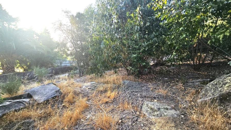 Terreno para Venda em Alcains Foto 5