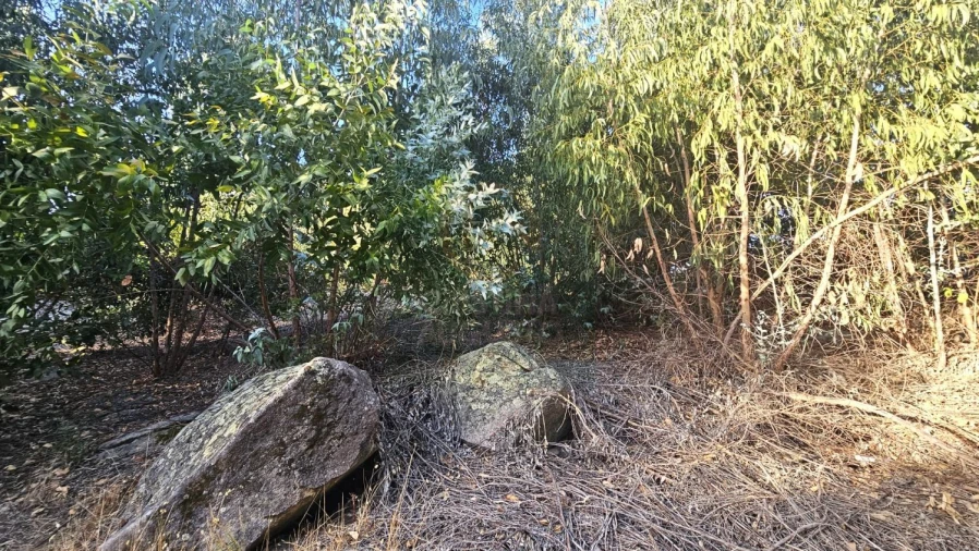 Terreno para Venda em Alcains Foto 4