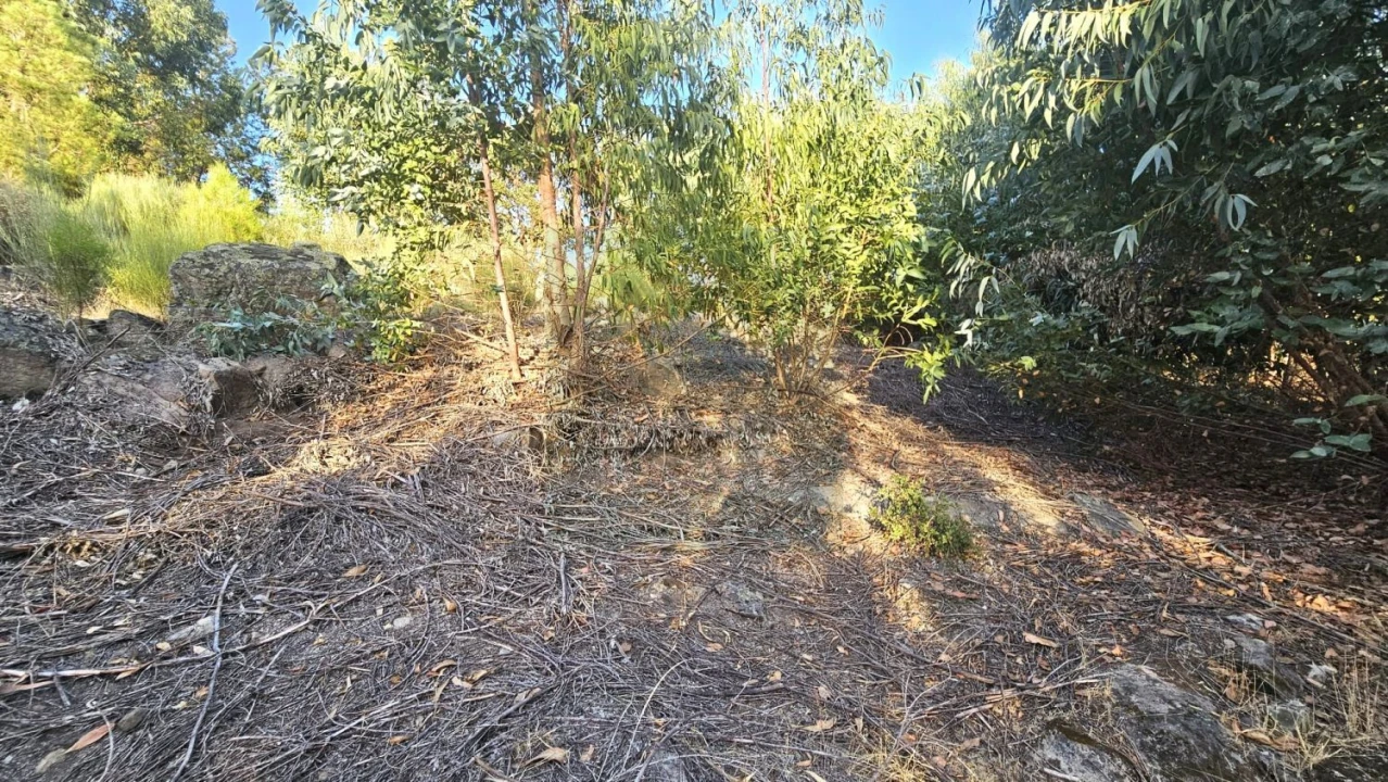 Terreno para Venda em Alcains Foto 3