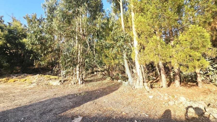 Terreno para Venda em Alcains