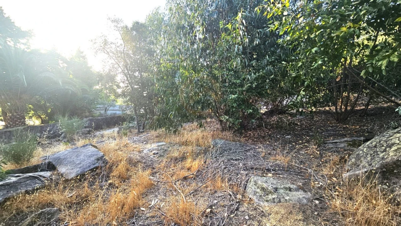 Terreno para Venda em Alcains Foto 5