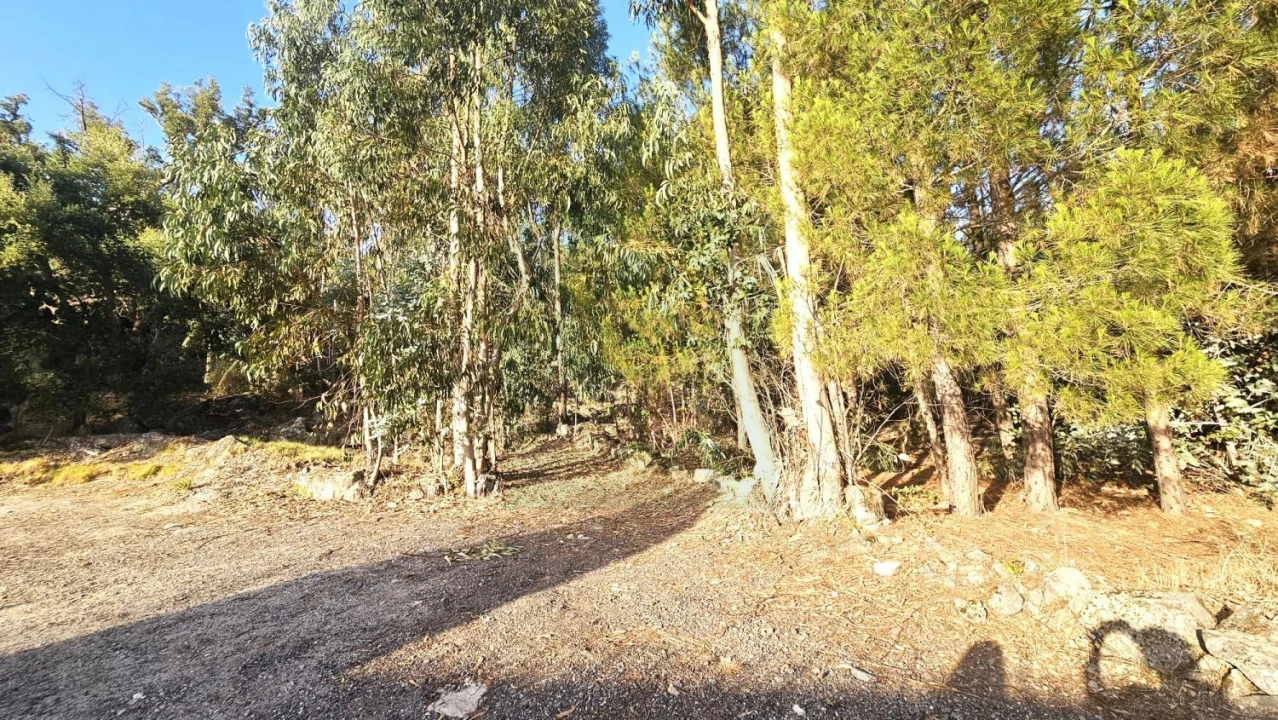 Terreno para Venda em Alcains Foto 1