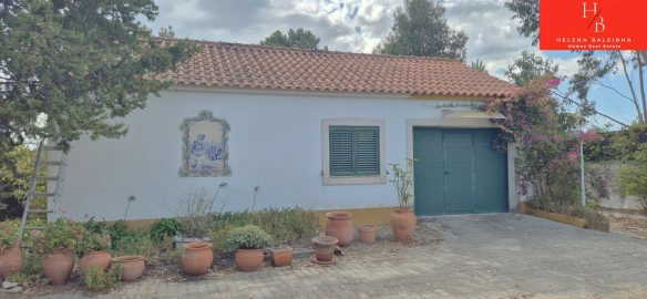 Quinta T4 para Venda em Vale da Pedra