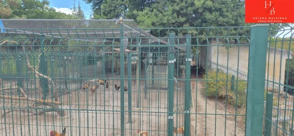 Quinta T4 para Venda em Vale da Pedra