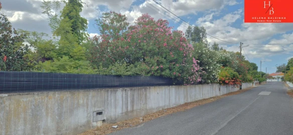 Quinta T4 para Venda em Vale da Pedra