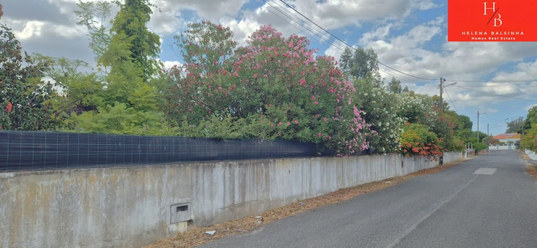 Quinta T4 para Venda em Vale da Pedra Foto 59