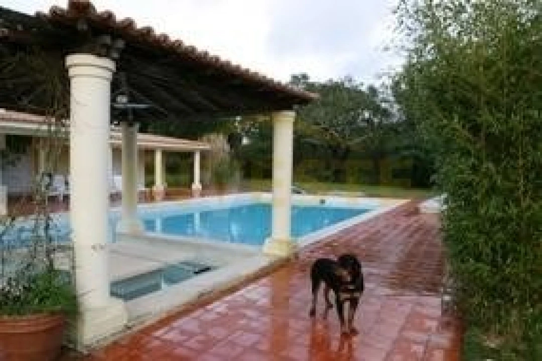 Moradia T6 para Venda em Santo Estêvão Foto 4