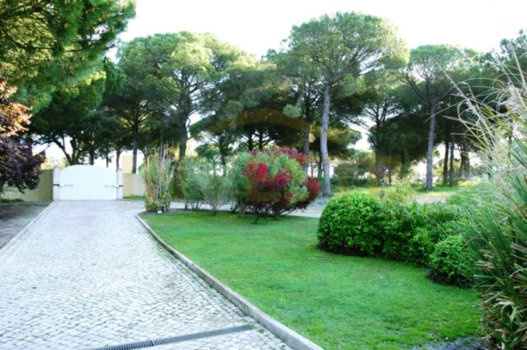 Moradia T6 para Venda em Santo Estêvão Foto 18